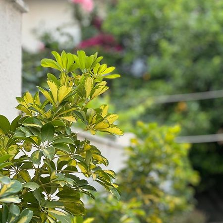 Μονοκατοικία «Maizonette Passaggio G» ヴォロス エクステリア 写真