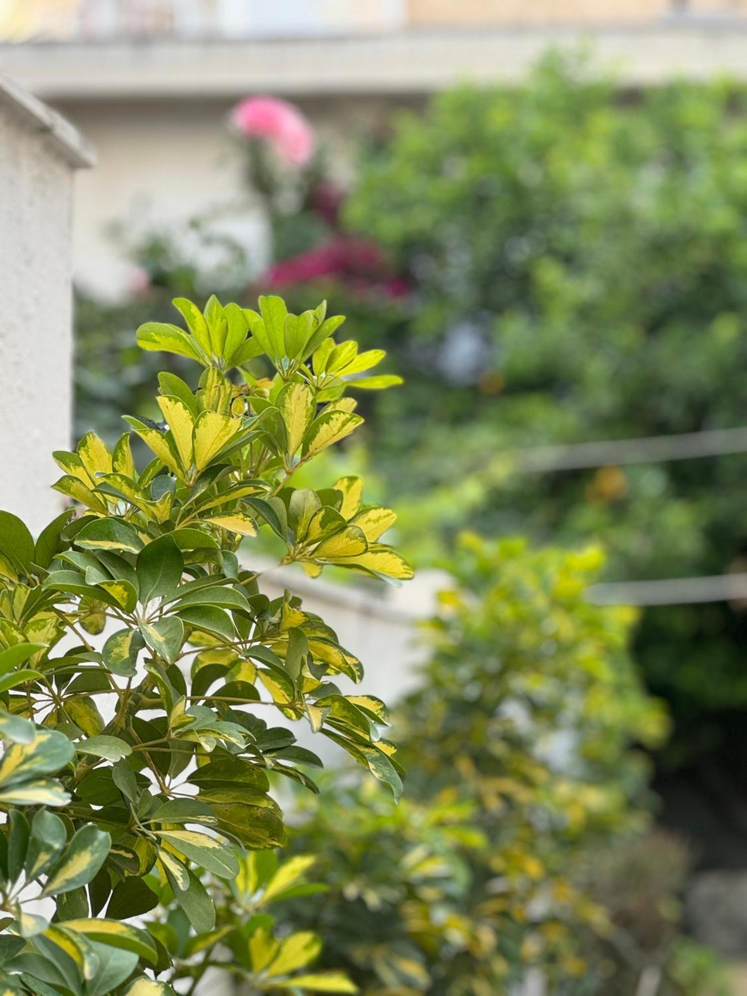 Μονοκατοικία «Maizonette Passaggio G» ヴォロス エクステリア 写真